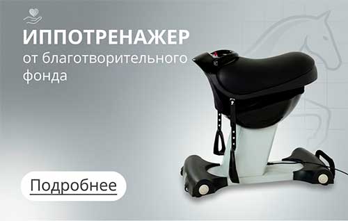 Иппотренажер от благотворительного фонда